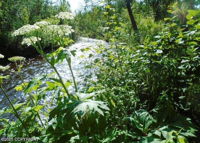 Property at Tr G Parks Hwy, Talkeetna, AK 99676