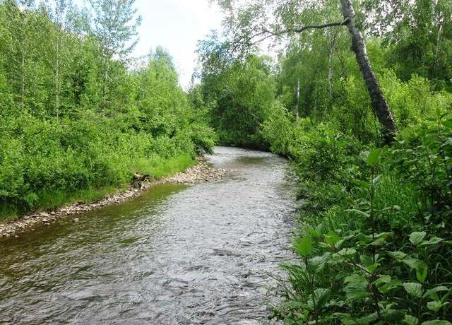 Property at Tr G Parks Hwy, Talkeetna, AK 99676