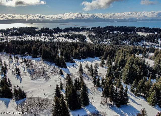 Property at 61447 Florence Martin Ct, Homer, AK 99603
