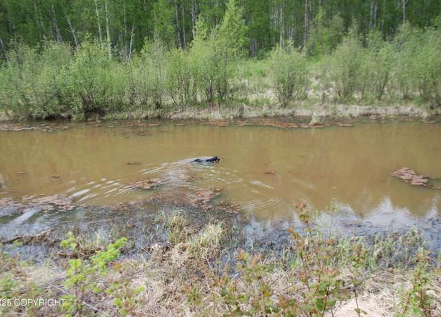 Property at 49198 S Hunter Dr, Willow, AK 99688