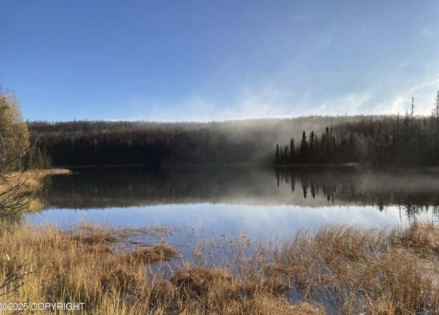 Property at 20854 E Tov Ave, Talkeetna, AK 99676