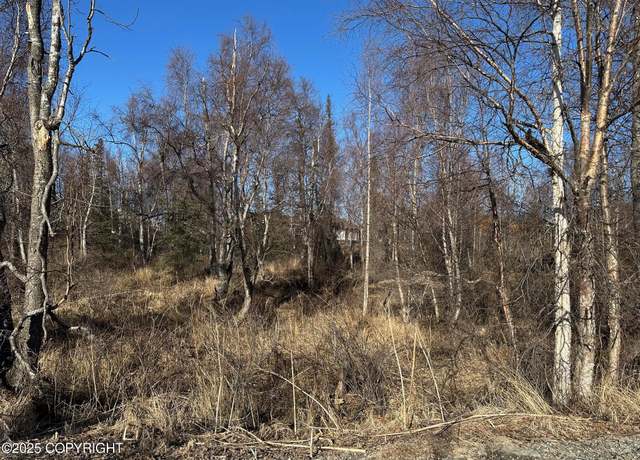 Property at 5501 E Tamarack Cir, Wasilla, AK 99654