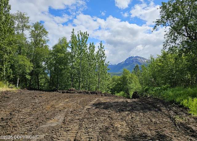 Property at 19330 E Jessica Ann St, Palmer, AK 99645