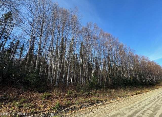 Property at 32276 S McKinley View Dr, Talkeetna, AK 99676
