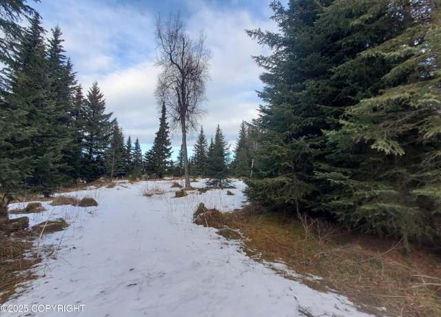 Property at 17617 Kimeluk St, Ninilchik, AK 99639