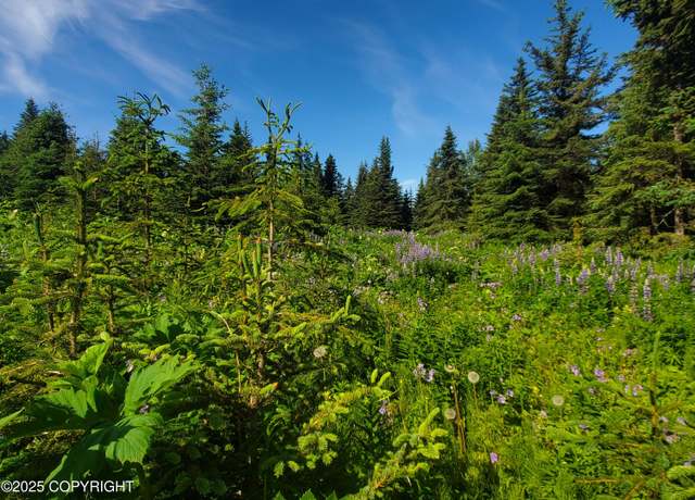 Property at 17617 Kimeluk St, Ninilchik, AK 99639
