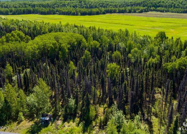 Property at 13687 E Beaver Dr, Willow, AK 99688