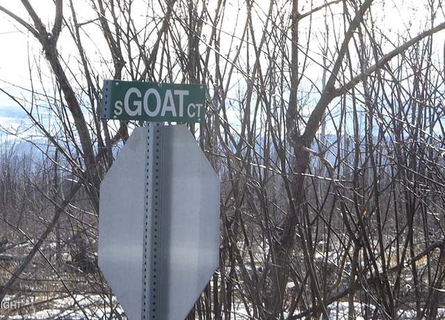 Property at 56731 S Goat Ct, Willow, AK 99688