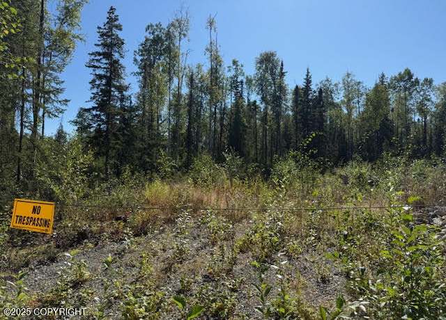 Property at 462 N Forest Dr, Wasilla, AK 99623