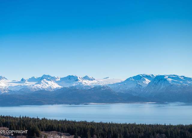 Property at L1 Hutler Rd, Homer, AK 99603