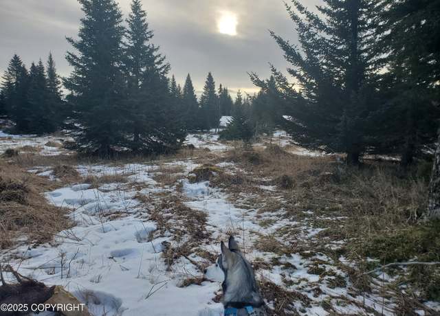Property at 17490 Chefornak St, Ninilchik, AK 99639