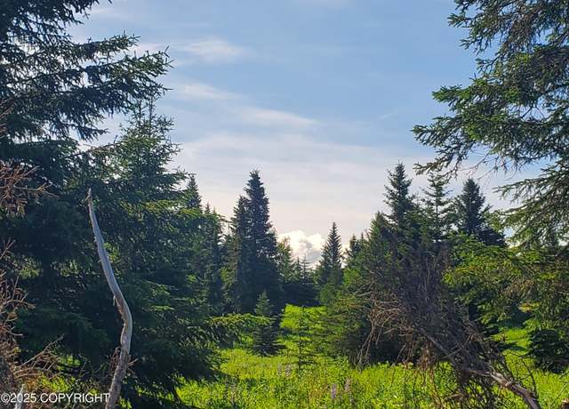 Property at 17490 Chefornak St, Ninilchik, AK 99639