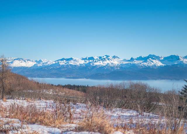 Property at L2 Hutler Rd, Homer, AK 99603