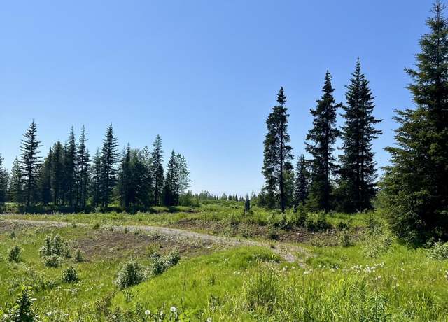 Property at 34708 North Fork Rd, Anchor Point, AK 99556