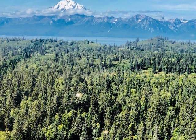 Property at L22 Kalgin Island Ests, Remote, AK 99000