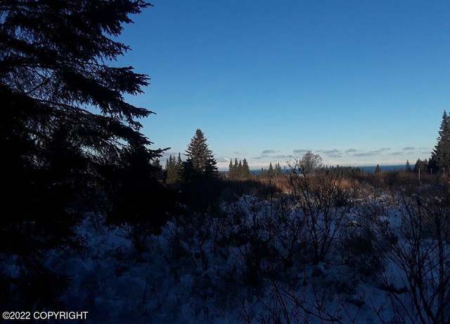 Property at 17285 Kimeluk St, Ninilchik, AK 99639