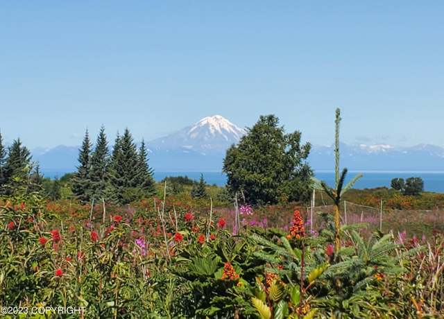 Property at 17259 Kimeluk St, Ninilchik, AK 99639