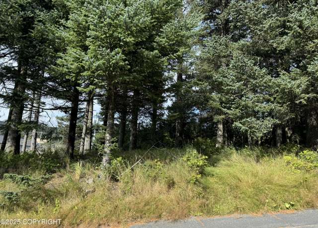 Property at 1815 Chichenof St, Kodiak, AK 99615