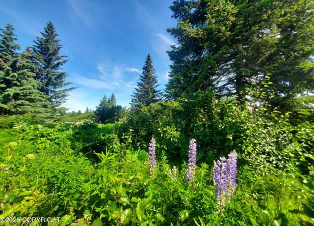 Property at 17664 Chefornak St, Ninilchik, AK 99639