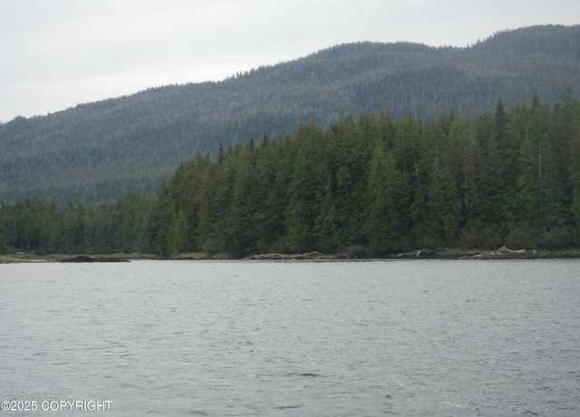Property at L8 B1 Thoms Pl, Wrangell, AK 99929