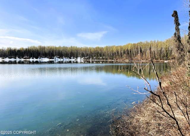 Property at 48555 Rainbow Ridge Dr, Willow, AK 99688