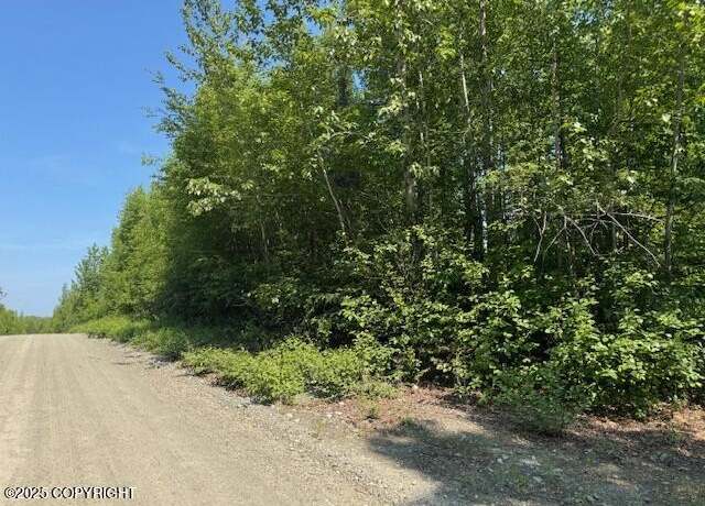 Property at 39578 S Malaspina Loop, Talkeetna, AK 99676