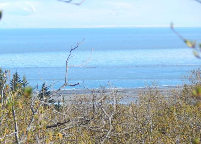 Property at 17208 Hyila Ln, Ninilchik, AK 99639