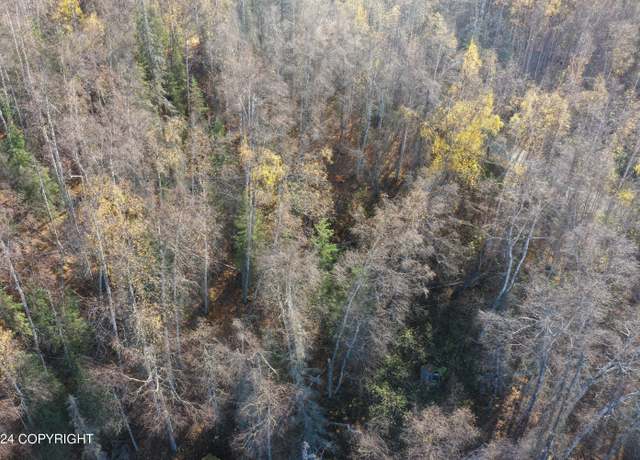 Property at 000 S Purinton Pkwy, Big Lake, AK 99654