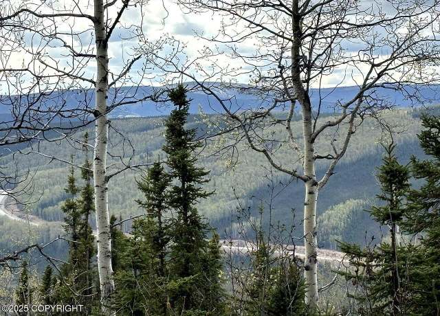 Property at L32 B3 Olnes Loop Rd, Fairbanks, AK 99712