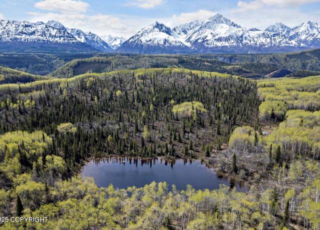 Property at B005 Packsaddle Rd, Chickaloon, AK 99674