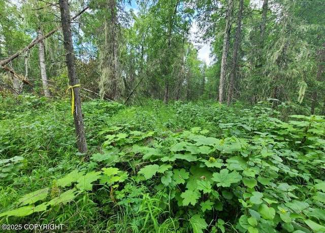 Property at L1-1 Chase #2, Talkeetna, AK 99676