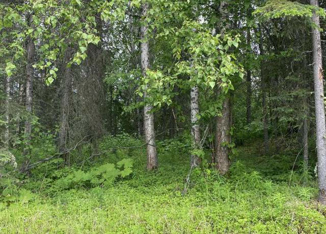 Property at 1511 S Kittiwake St, Wasilla, AK 99645