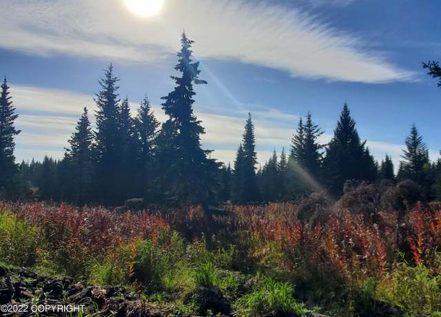 Property at 67741 Shavila Rd, Ninilchik, AK 99639