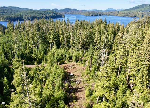 Property at L5B4 Gutchi Cv, Naukati Bay, AK 99000