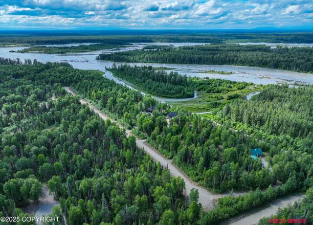 Property at 54920 S Salmon Run Rd, Willow, AK 99688