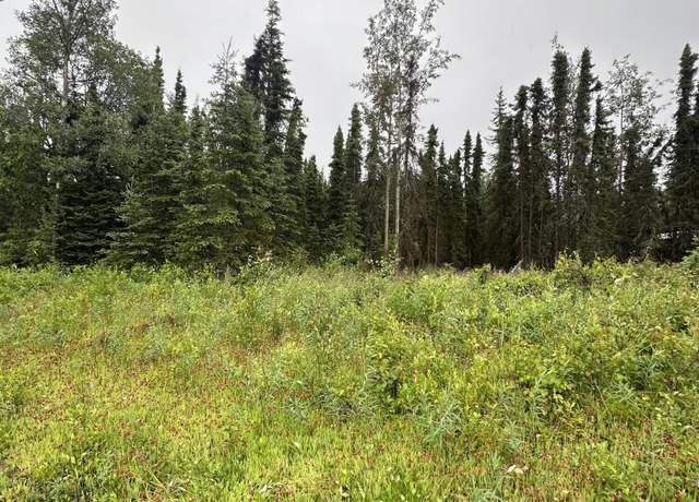 Property at 4406 N Dogwood Rd, Kenai, AK 99611