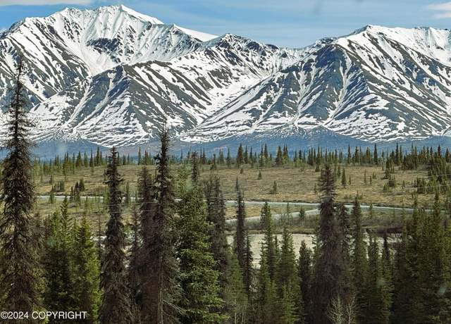 Property at L9 Wonderstruck Ave, Cantwell, AK 99729