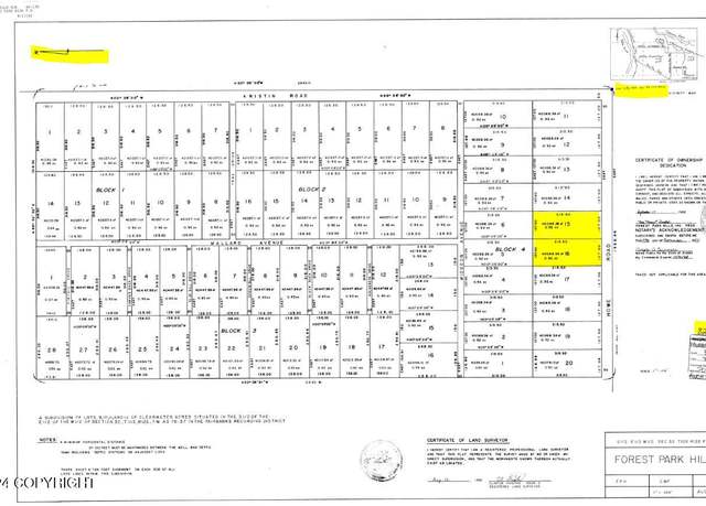 Property at L15 & 16 B4 Forest Park Hls, Delta Junction, AK 99737