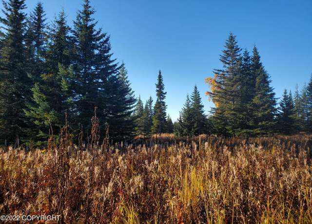 Property at 67658 Shavila Rd, Ninilchik, AK 99639
