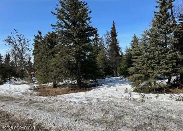 Property at 66350 Oil Well Rd, Ninilchik, AK 99639