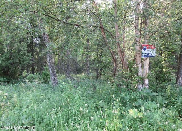 Property at C003 E Mountain Mama Cir, Palmer, AK 99645