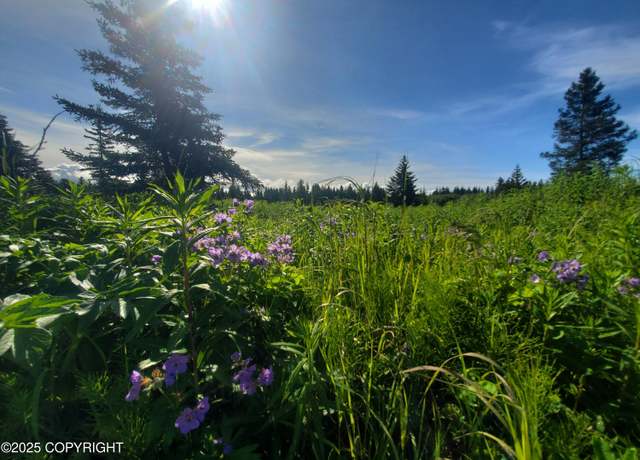 Property at 17626 Chefornak St, Ninilchik, AK 99639
