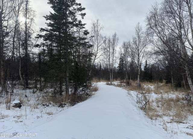 Property at 3910 N Vista Dr, Palmer, AK 99645