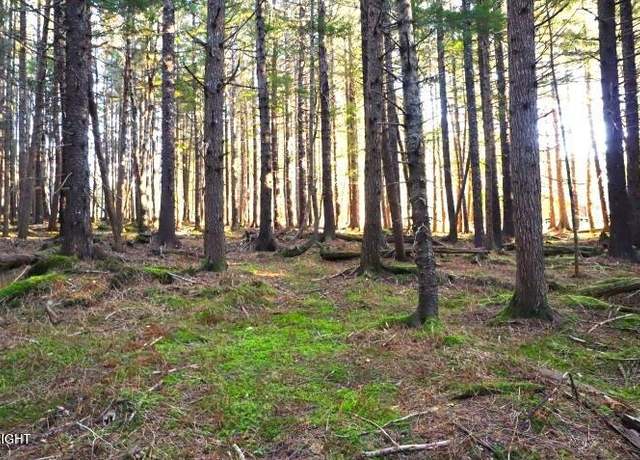 Property at 000 Alder Ct, Haines, AK 99827