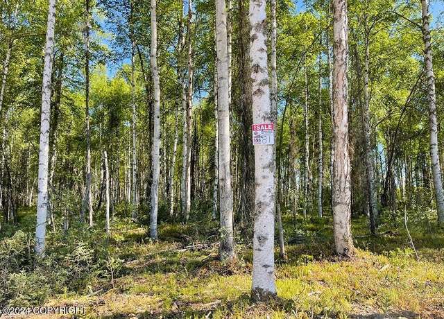 Property at 45671 S Denaina Dr, Willow, AK 99688