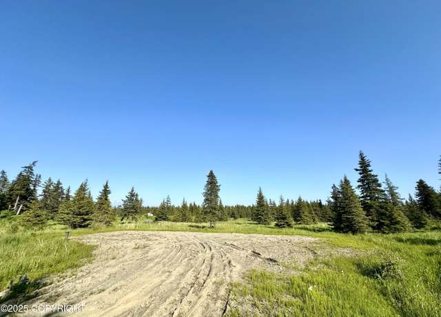 Property at 32800 Shorebird Ln, Anchor Point, AK 99556