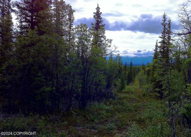Property at B4 - L4 Jude No Road Rd, Glennallen, AK 99588