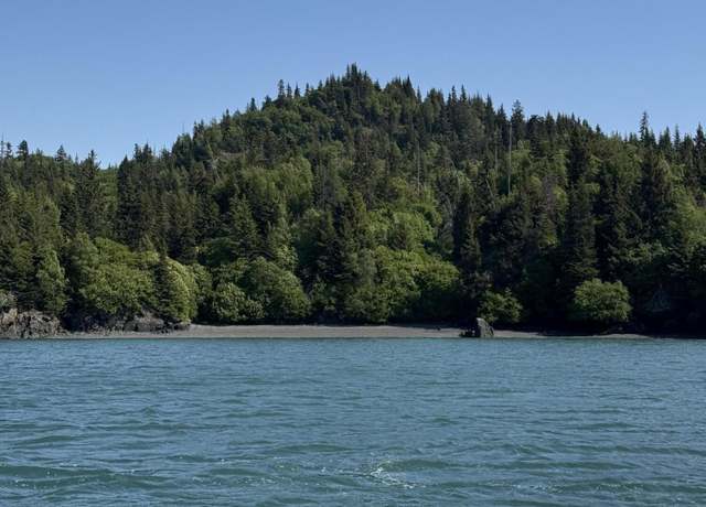 Property at L20 Pomeroy Rd, Homer, AK 99603