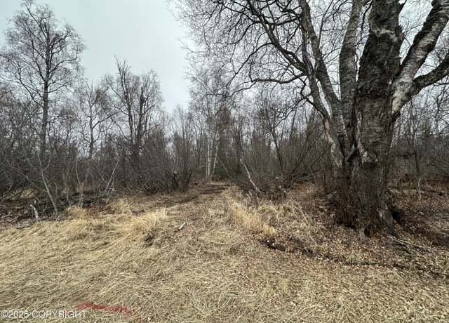 Property at L2 B1 Asa Hls, Wasilla, AK 99654