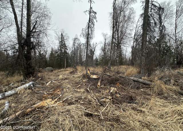 Property at L3 B1 Asa Hls, Wasilla, AK 99654